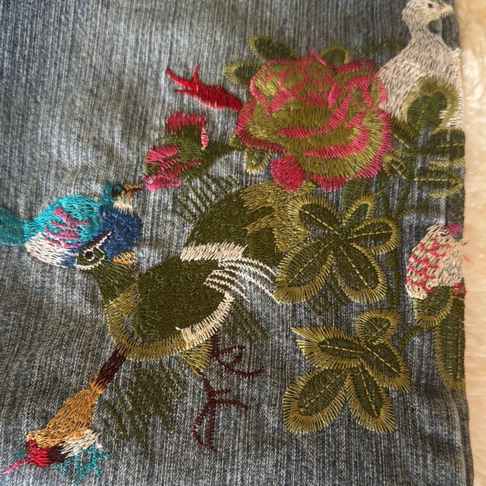 Azita Designer Embroidered Jean